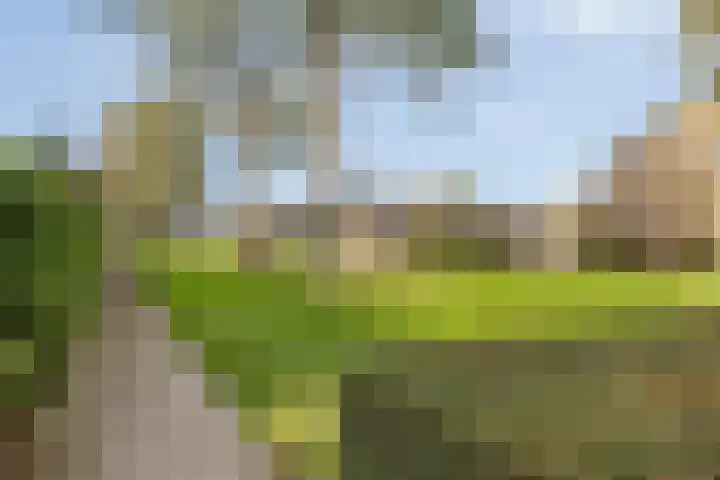 Bisschopshoeve 113 Breda thumbnail 37