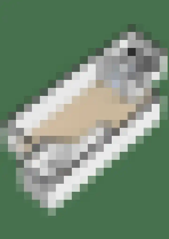 Bisschopshoeve 113 Breda thumbnail 39