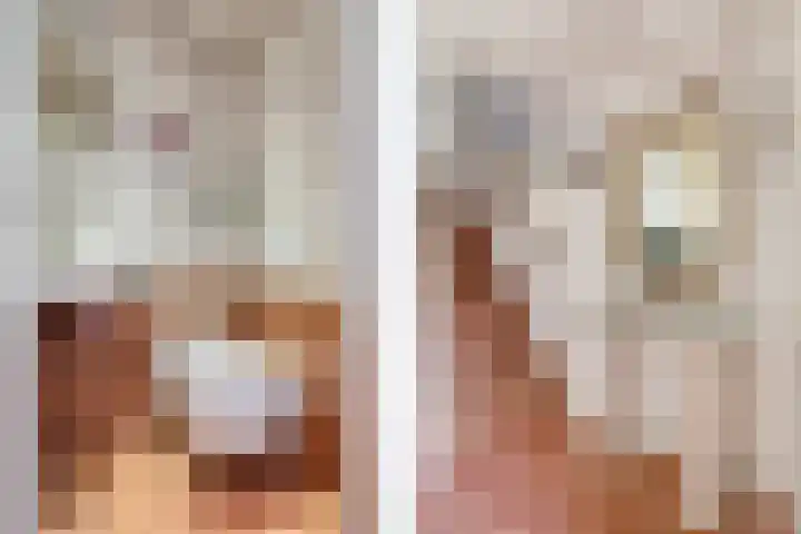 Bisschopshoeve 113 Breda thumbnail 6