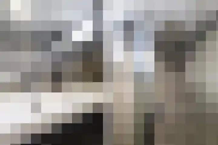 Bisschopshoeve 137 Breda thumbnail 34