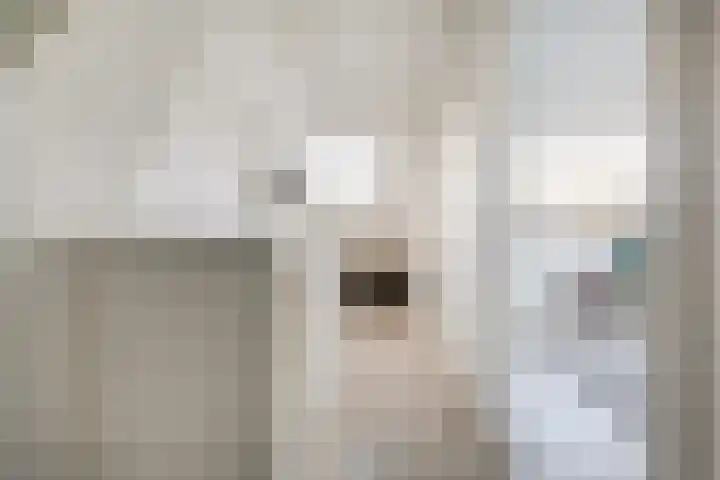 Bisschopshoeve 137 Breda thumbnail 35