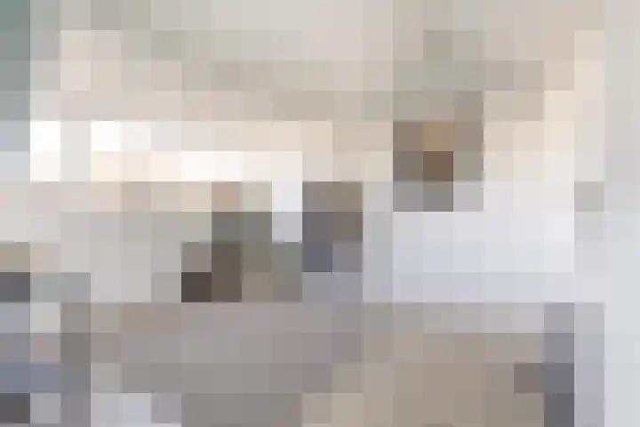Bisschopshoeve 137 Breda thumbnail 36