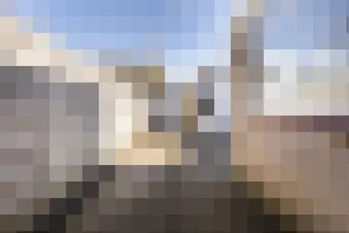 Bisschopshoeve 137 Breda thumbnail 39