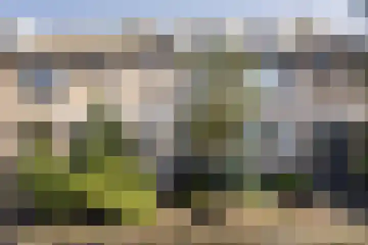 Bisschopshoeve 137 Breda thumbnail 6