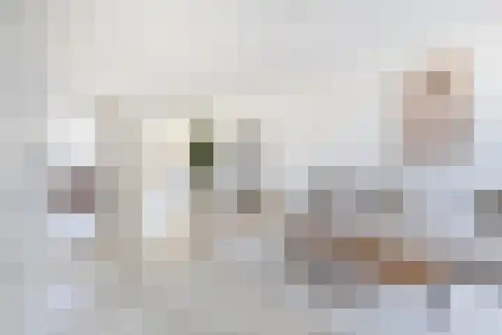Bisschopshoeve 137 Breda thumbnail 8