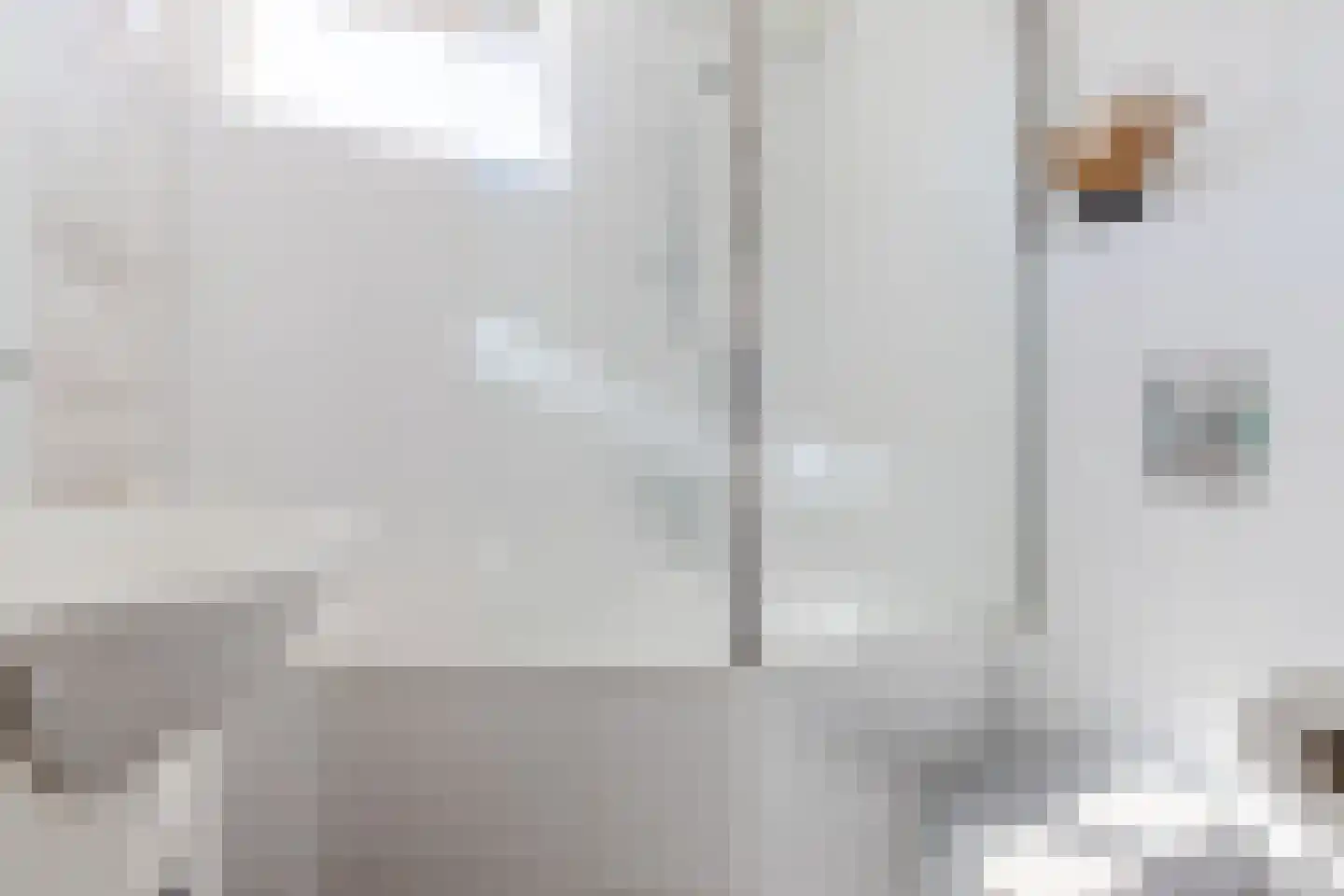 Bisschopshoeve 65 Breda thumbnail 35