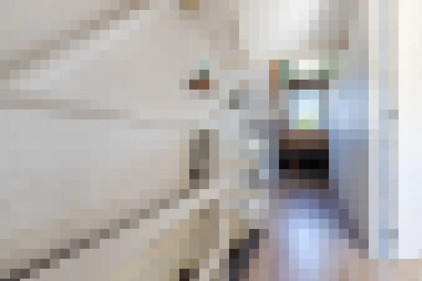 Bisschopshoeve 65 Breda thumbnail 39