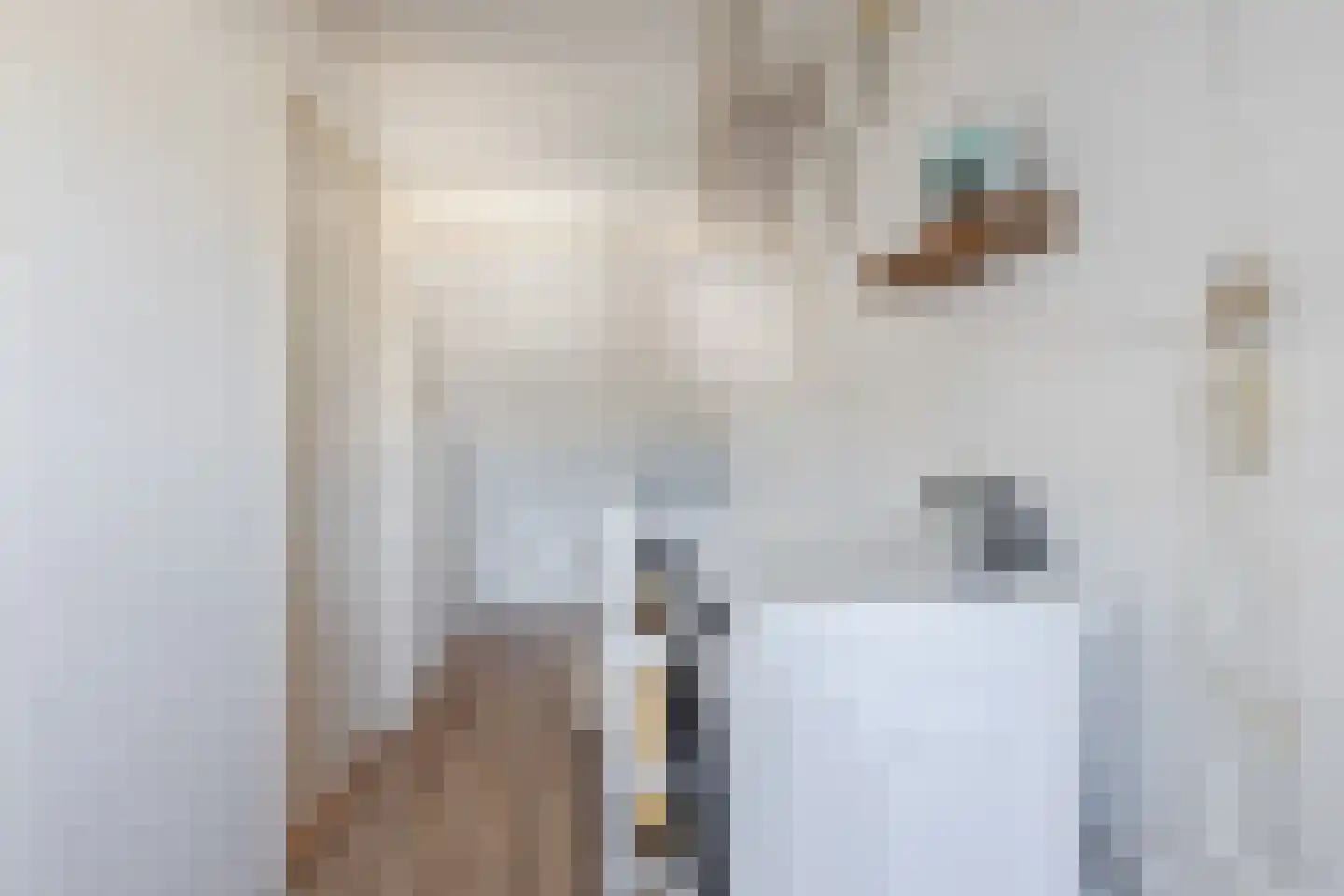 Bisschopshoeve 65 Breda thumbnail 40