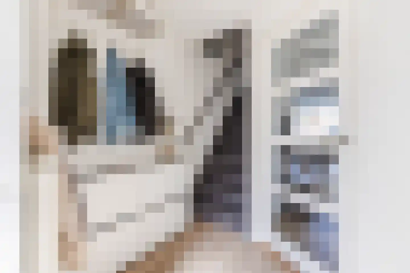 Bisschopshoeve 65 Breda thumbnail 8