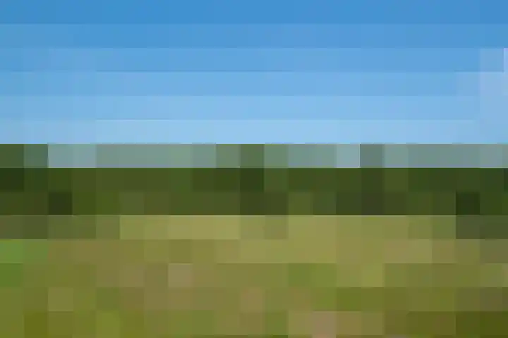 Bisschopshof 23 Diever thumbnail 16