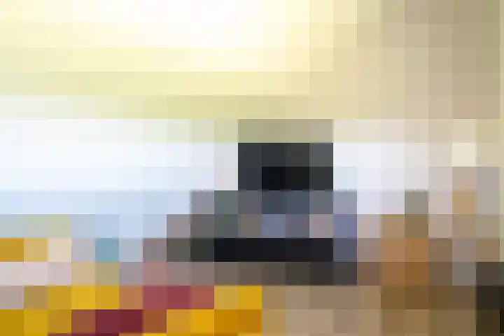 Bisschopshof 23 Diever thumbnail 21