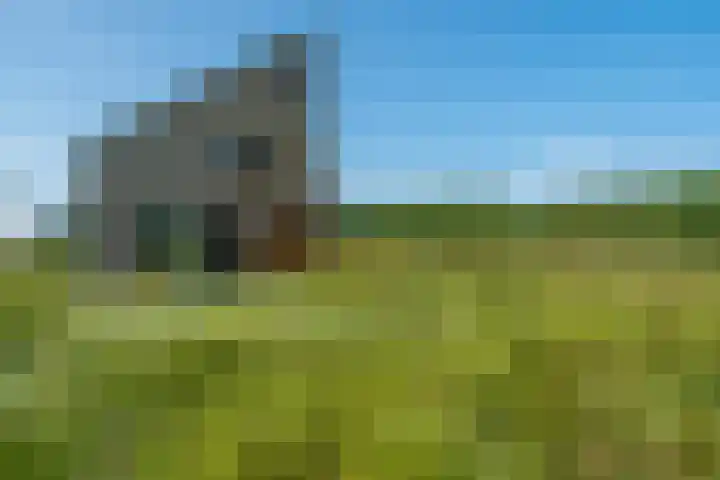 Bisschopshof 23 Diever thumbnail 22