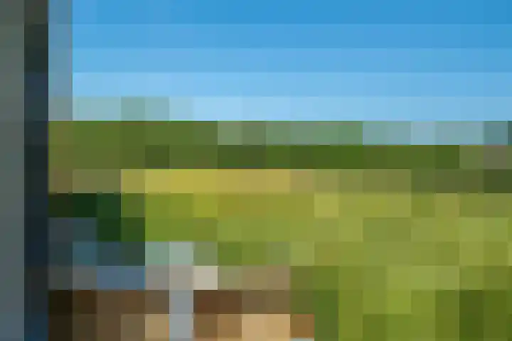 Bisschopshof 23 Diever thumbnail 23