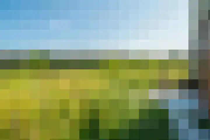 Bisschopshof 23 Diever thumbnail 24