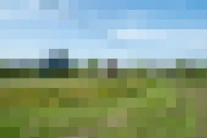 Bisschopshof 23 Diever thumbnail 31