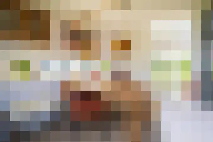Bisschopshof 23 Diever thumbnail 6