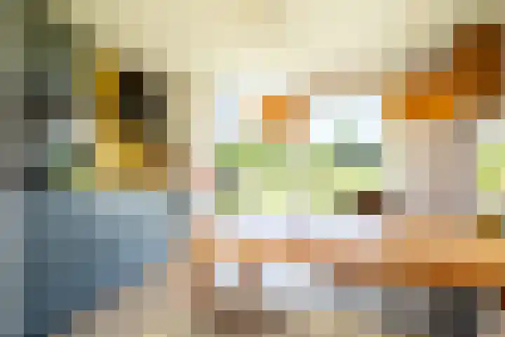 Bisschopshof 23 Diever thumbnail 8