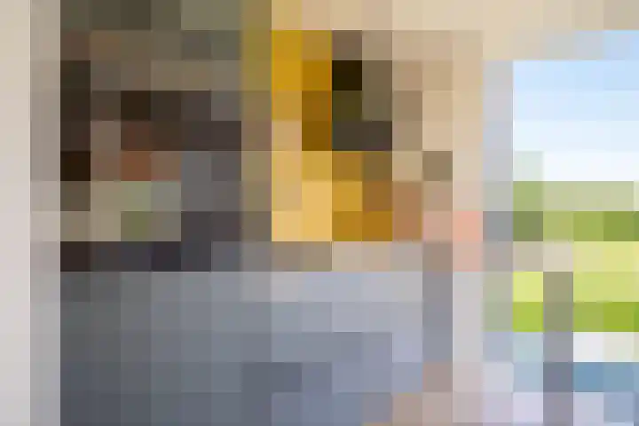 Bisschopshof 23 Diever thumbnail 9