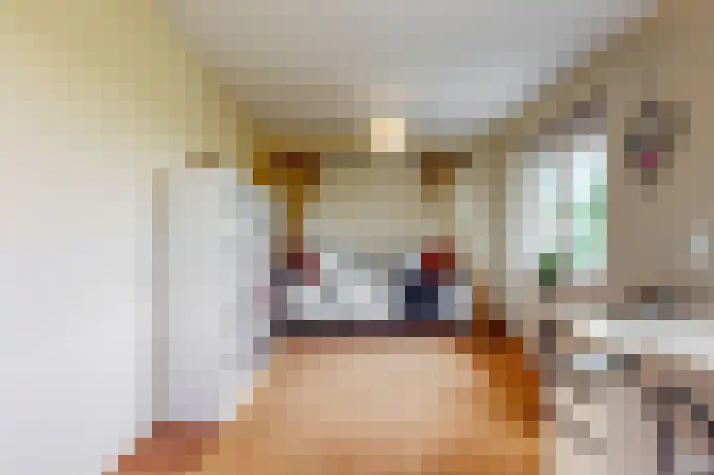 Bisschopshof 32 Harmelen thumbnail 26