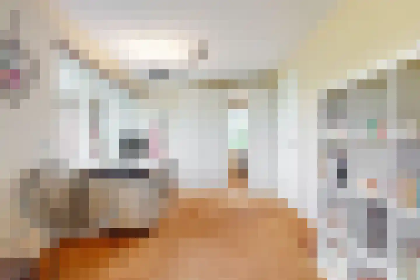 Bisschopshof 32 Harmelen thumbnail 27