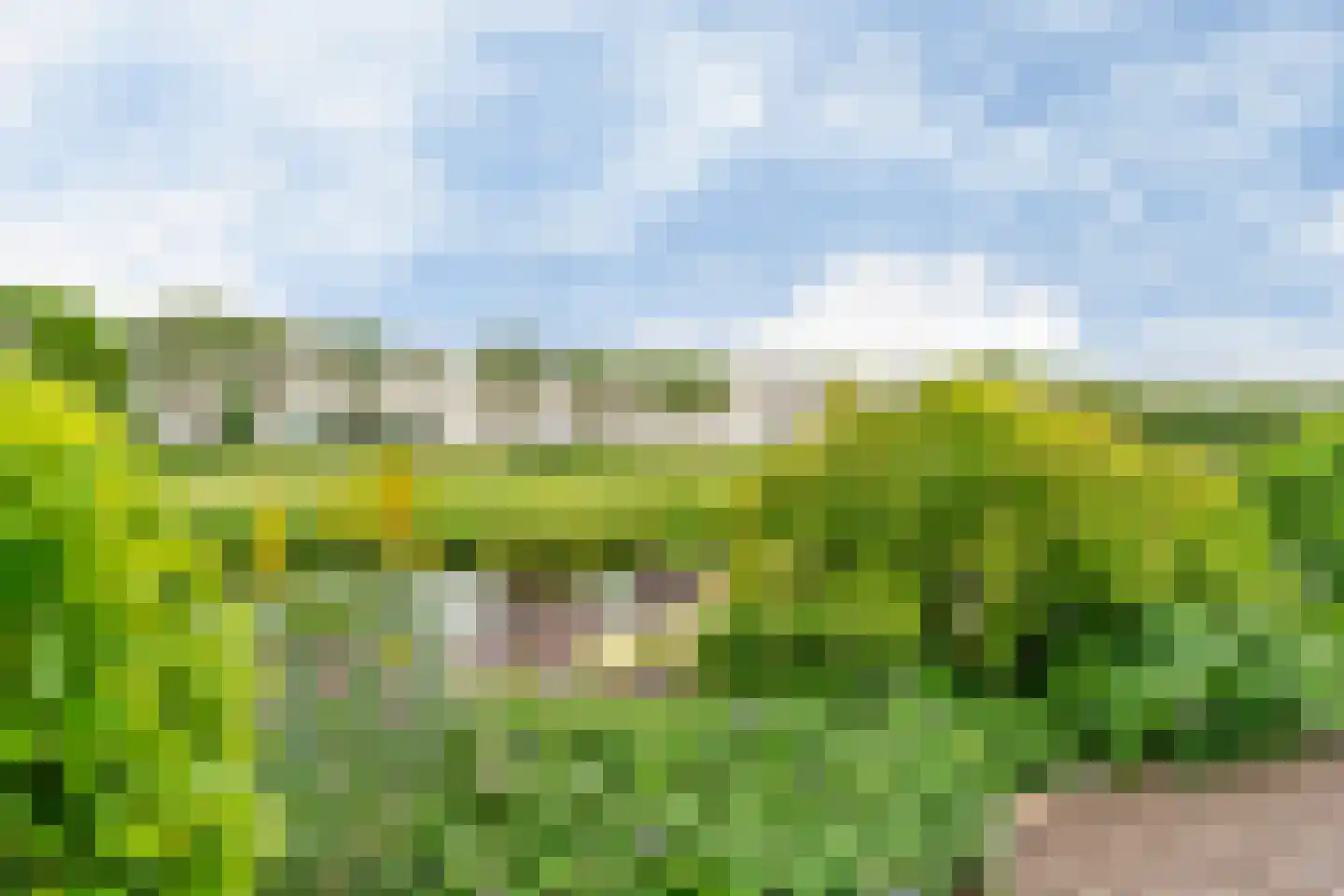 Bisschopshof 32 Harmelen thumbnail 44