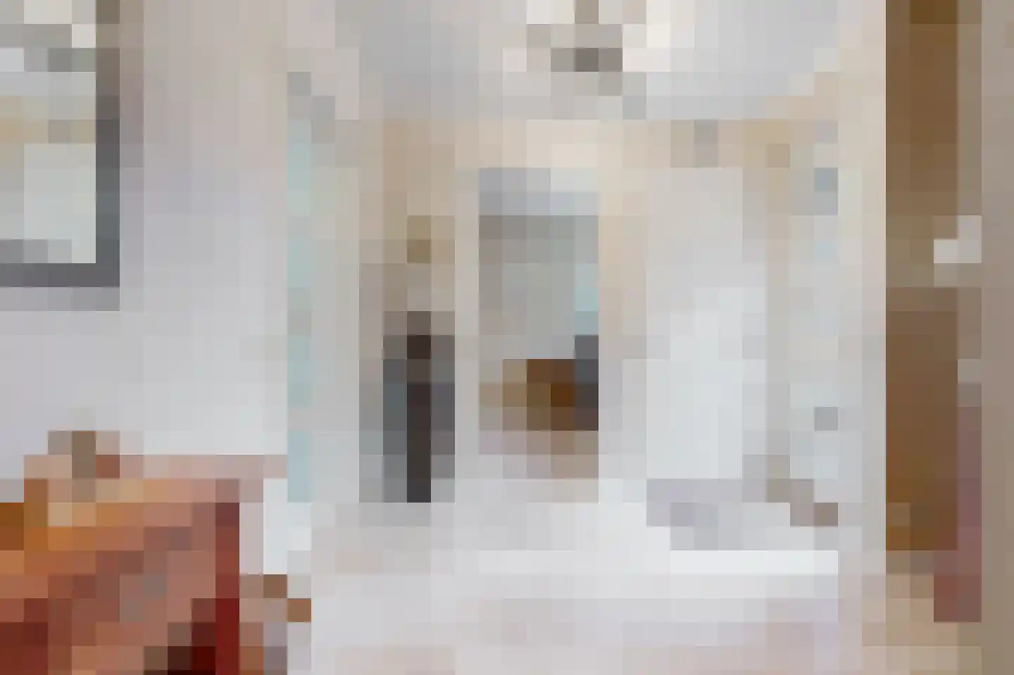 Bisschopshof 32 Harmelen thumbnail 6