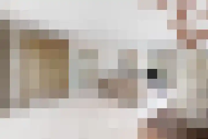 Bisschopshof 5 Zevenbergen thumbnail 10
