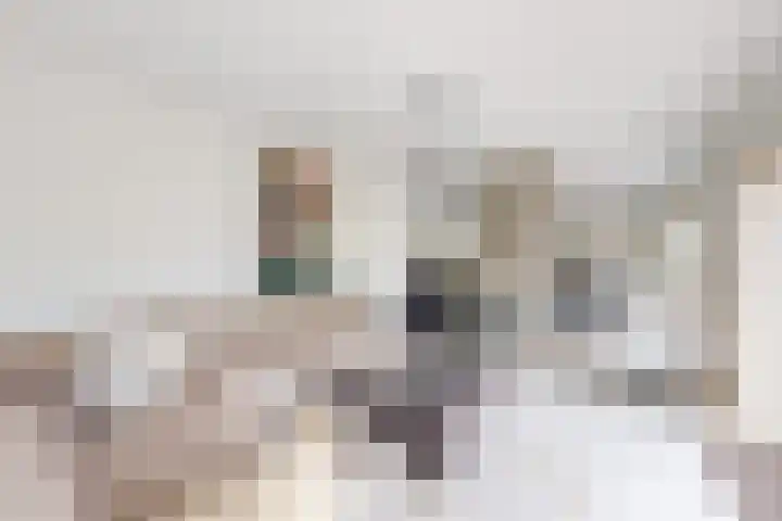 Bisschopshof 5 Zevenbergen thumbnail 12