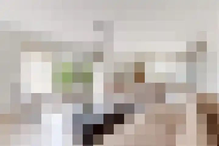 Bisschopshof 5 Zevenbergen thumbnail 13
