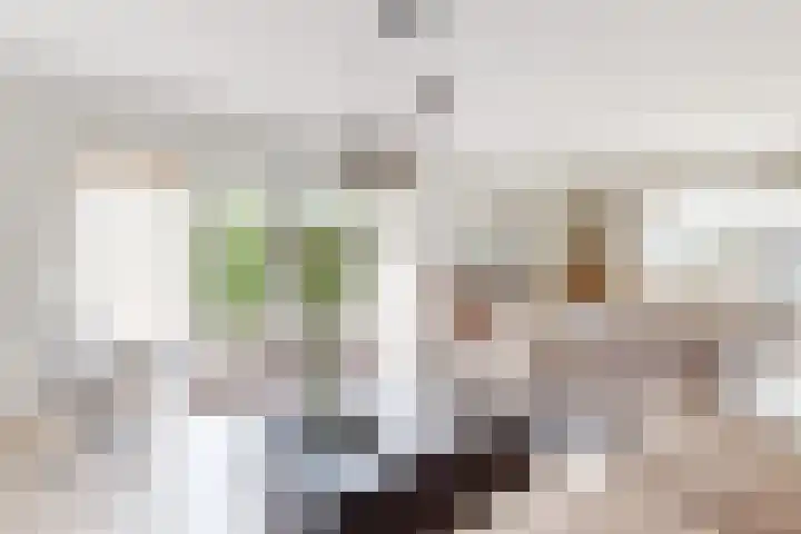 Bisschopshof 5 Zevenbergen thumbnail 15