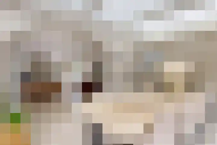 Bisschopshof 5 Zevenbergen thumbnail 17