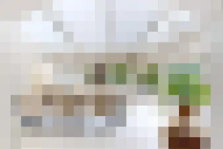 Bisschopshof 5 Zevenbergen thumbnail 19
