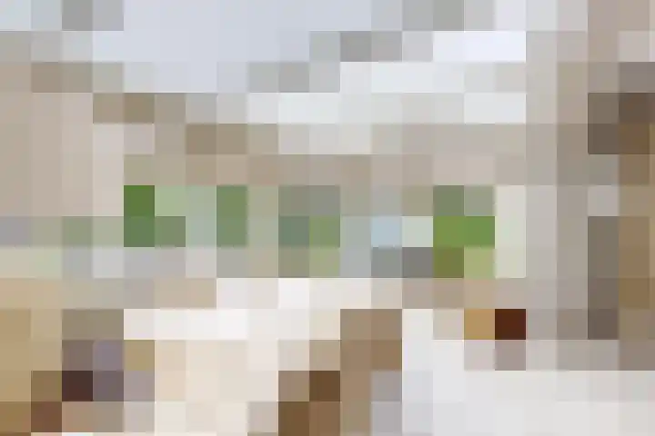 Bisschopshof 5 Zevenbergen thumbnail 21