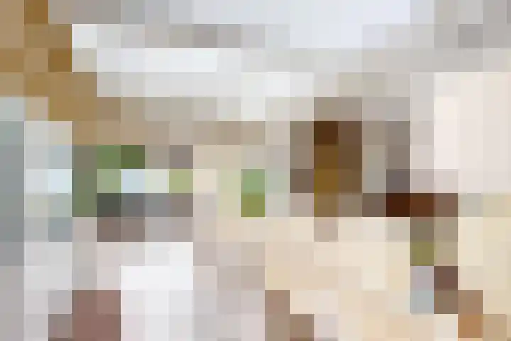 Bisschopshof 5 Zevenbergen thumbnail 22