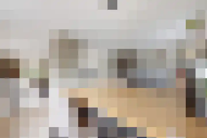 Bisschopshof 5 Zevenbergen thumbnail 23