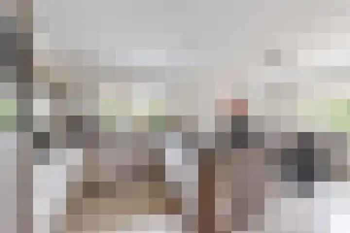 Bisschopshof 5 Zevenbergen thumbnail 24