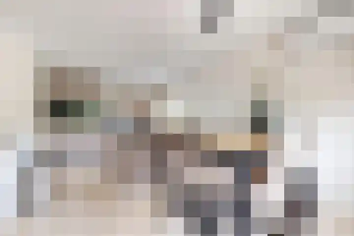 Bisschopshof 5 Zevenbergen thumbnail 26