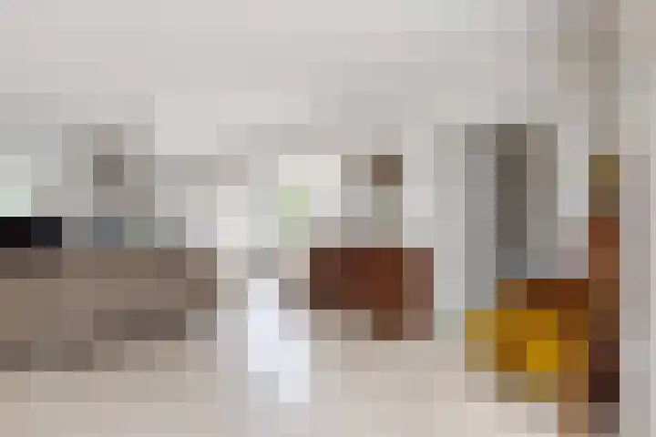 Bisschopshof 5 Zevenbergen thumbnail 29