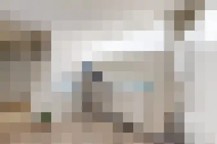 Bisschopshof 5 Zevenbergen thumbnail 30