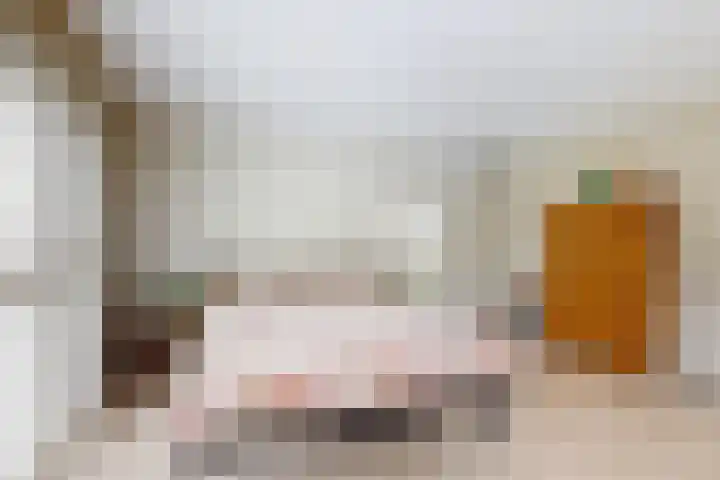 Bisschopshof 5 Zevenbergen thumbnail 39
