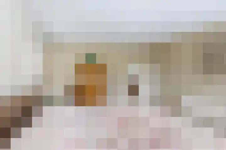 Bisschopshof 5 Zevenbergen thumbnail 41