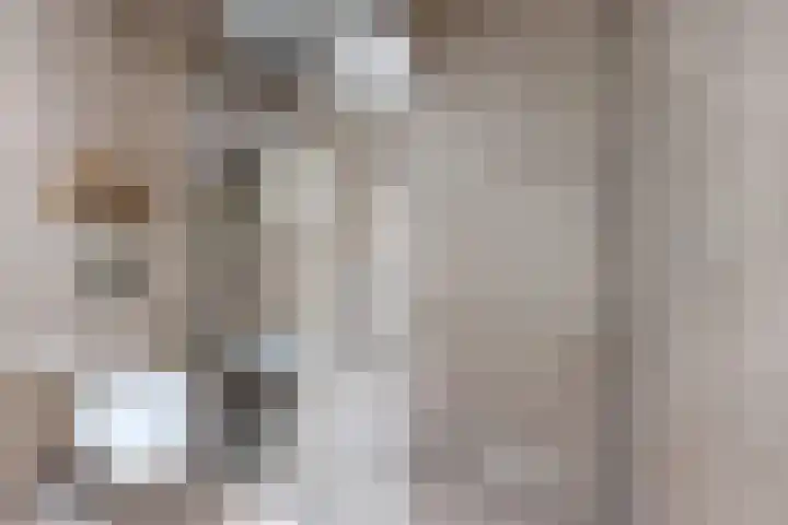 Bisschopshof 5 Zevenbergen thumbnail 43