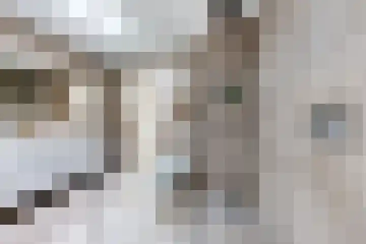 Bisschopshof 5 Zevenbergen thumbnail 44