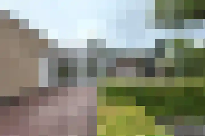 Bisschopshof 5 Zevenbergen thumbnail 52