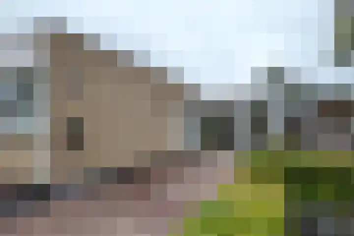 Bisschopshof 5 Zevenbergen thumbnail 53