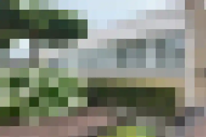 Bisschopshof 5 Zevenbergen thumbnail 54