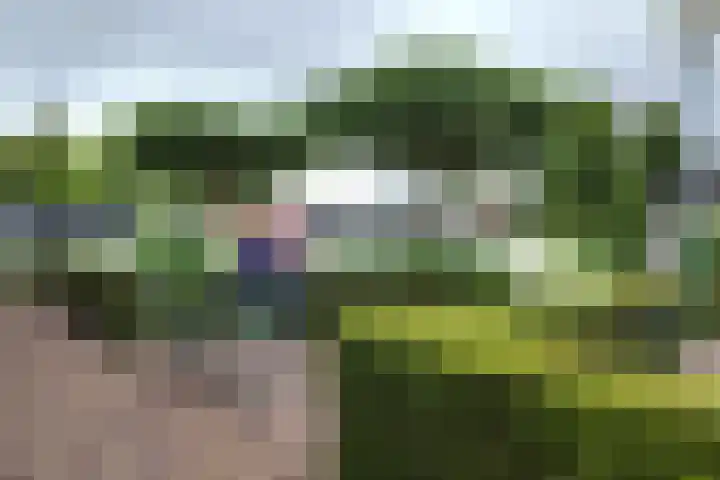 Bisschopshof 5 Zevenbergen thumbnail 56