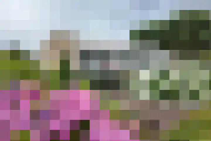 Bisschopshof 5 Zevenbergen thumbnail 57