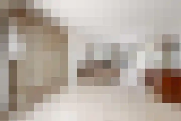 Bisschopshof 5 Zevenbergen thumbnail 9