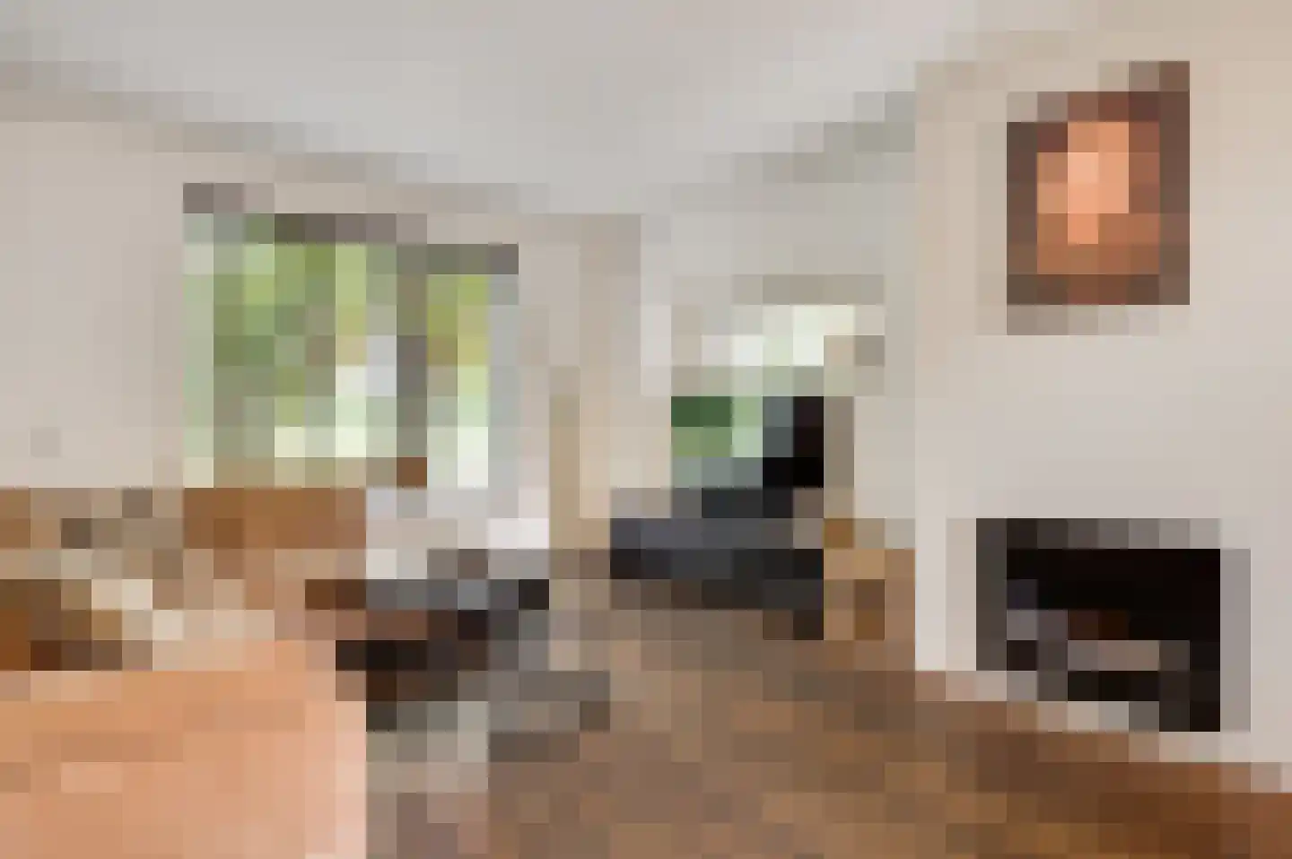 Bisschopskamp 12 Swalmen thumbnail 10